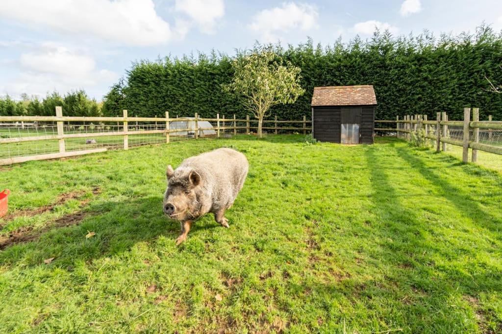 Willow Cottage In Idyllic Location Harrietsham Buitenkant foto